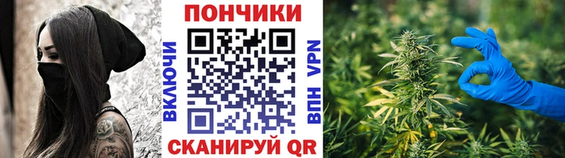где купить наркоту  Бор  Бошки Шишки гибрид 
